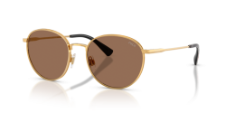Polo Ralph Lauren PH 3163 - 940273 SHINY BRASS dark brown