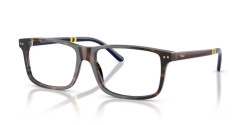 Polo Ralph Lauren PH 2296 - 5003 SHINY DARK HAVANA