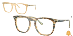 Ray-Ban RX 2210V - 8383 PHOTO STRIPED BROWN