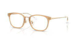 Ray-Ban RX 7247D - 8473 TRANSPARENT BROWN ON PALE GOLD