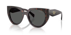 Prada PR 14WS - 17N40L ROOT TORTOISE dark grey