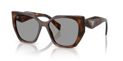 Prada PR 19ZS - 20D50Q JUNIPER TORTOISE grey