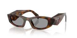 Prada PR B16S - 20D50Q JUNIPER TORTOISE