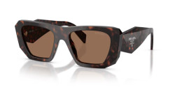 Prada PR B18S - 17N06B ROOT TORTOISE dark brown