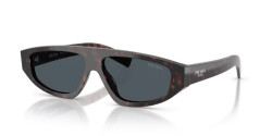 Prada PR C02S - 17N70B ROOT HAVANA dark grey