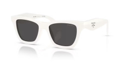 Prada PR C07S - 17K08Z TALC dark grey