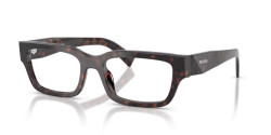 Prada PR  C02V - 17N1O1 ROOT TORTOISE
