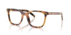 Prada PR B11V - 29C1O1 CINNAMON TORTOISE