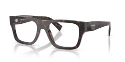 Prada PR C01V - 17N1O1 ROOT TORTOISE