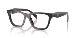 Prada PR C10V - 17N1O1 ROOT TORTOISE