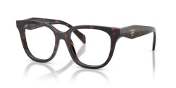 Prada PR C11V - 17N1O1 ROOT TORTOISE