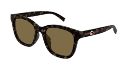 Gucci GG 1984SK - 003 HAVANA brown