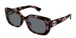 Gucci GG 1979SK - 003 HAVANA grey