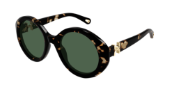 Chloe CH 0332S - 002 HAVANA green