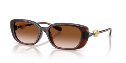 Versace VE 4504D - 533213 TRANSPARENT BROWN brown gradient