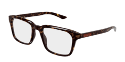 Gucci GG 2081O - 006 HAVANA