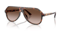 Michael Kors MK 2281U MOLOKAI - 300613 DARK TORTOISE smoke gradient