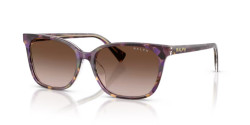 Ralph RA 5348U - 630313 VIOLET HAVANA/TRANSPARENT gradient brown