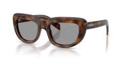 Prada PR D07S - 20D50Q JUNIPER TORTOISE grey