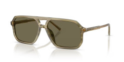 Dolce&Gabbana DG 4541 - 3480/3 GREEN ON STRIPED GREEN brown