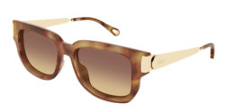 Chloe CH 0351S - 002 HAVANA/GOLD brown double gradient