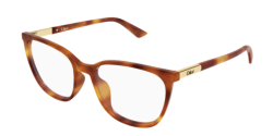Chloe CH 0370OL - 007 HAVANA