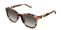 Chloe CH 0375SK - 002 HAVANA grey gradient