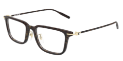 Mont Blanc MB 0489OA - 002 HAVANA/GOLD