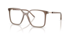 Armani Exchange AX 3132 - 8396 SHINY OPAL BROWN
