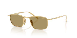 Prada PR D52S - 5AK70G GOLD green olive