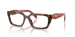 Prada PR D05V - 01K1O1 JUNIPER HAVANA