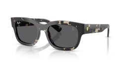 Ray-Ban RB 2228M - F70387 HAVANA GREY dark grey