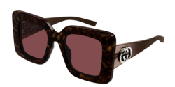 Gucci GG 2025S - 002 HAVANA/BROWN red