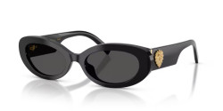 Dolce&Gabbana DG 4537 - 501/87 BLACK dark grey