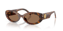 Dolce&Gabbana DG 4537 - 347073 LEO TRANSPARENT dark brown