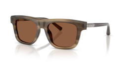 Dolce&Gabbana DG 4521 - 3200OK STRIPED TOBACCO bronze
