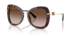 Dolce&Gabbana DG 4535 - 502/13 HAVANA brown gradient