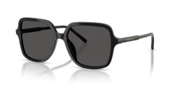 Dolce&Gabbana DG 4539 - 501/87 BLACK dark grey