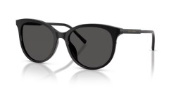 Dolce&Gabbana DG 4540 - 501/87 BLACK dark grey