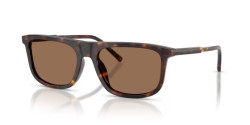Dolce&Gabbana DG 4542 - 502/73 HAVANA dark brown