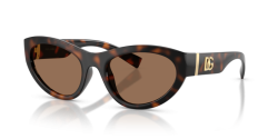 Dolce&Gabbana DG 6207 - 502/73 HAVANA dark brown