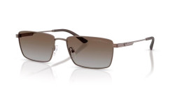 Emporio Armani EA 2169 - 300689 MATTE BRONZE grey gradient brown