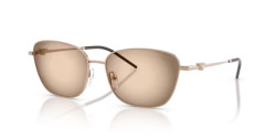 Emporio Armani EA 2170 - 301113 SHINY ROSE GOLD brown grey gradient