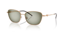 Emporio Armani EA 2170 - 342713 METAL BROWN green gradient green