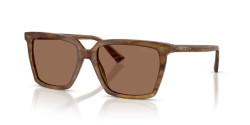 Jimmy Choo JC 5051 - 508573 BROWN HAVEN dark brown