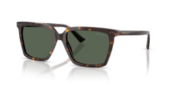 Jimmy Choo JC 5051 - 500271 HAVANA dark green