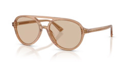 Jimmy Choo JC 5055U - 507693 TRANSPARENT TAN brown