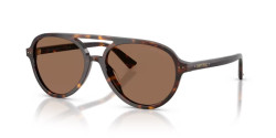 Jimmy Choo JC 5055U - 500273 HAVANA dark brown