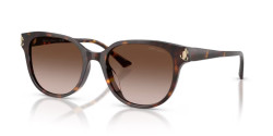 Jimmy Choo JC 5057D - 500213 HAVANA gradient brown