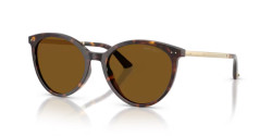 Jimmy Choo JC 5060 - 500283 HAVANA dark brown polarized